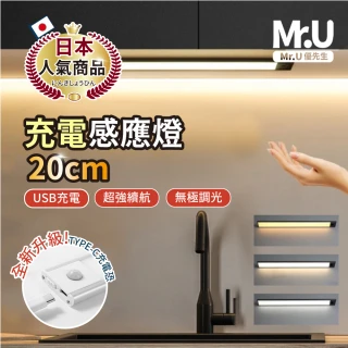 【Mr.U優先生】Type-C 超薄 人體感應燈 20公分 智能磁吸 感應燈(小夜燈 LED燈 廚房燈 櫥櫃燈 燈條 檯燈)