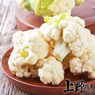 【上野物產】8包 臺灣產 白花椰菜 (700g±10%/包 蔬菜/花椰菜/青菜/青花菜)