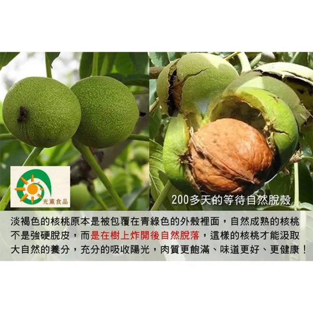 【Guang Xun 光薰】五包組 原味紙皮核桃 里仁同款販售(無農藥堅果 無調味健康零食胡桃 長壽果 送禮推薦)