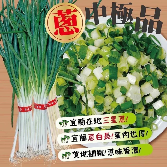 【蔥寶寶體驗農場】雙人組★手作蔥多餅DIY+拔蔥+洗蔥+導覽(贈2支微笑冰+好禮3選1)