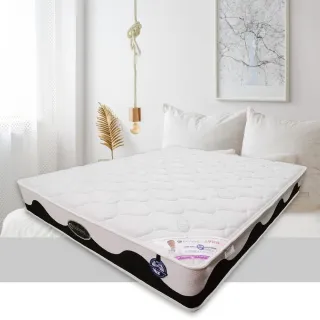 【hoi! 好好生活】美國伊麗絲冰晶紗獨立筒床墊ES-利百佳3.5尺/105x188cm   *尺寸可客訂*