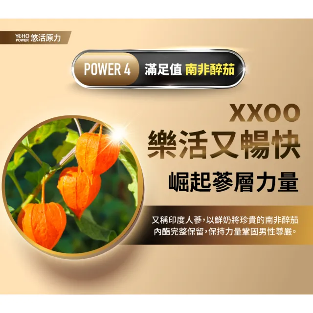 【悠活原力】原力黑馬卡精胺酸粉包1盒(20包/盒 鋅酵母 南非醉茄 透納葉 精胺酸 瑪卡 )