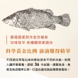 【安永鮮物】健康御品鱸魚精x2盒-常溫(60ml*6入/盒/0添加 無薑無蔥/威品嚴選)