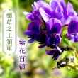 【iVENOR】十時塑孅檸茶x9盒(共90包  翻轉吧!寶利冠名分享)
