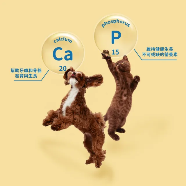 【CONNEXION】同伴波頓鈣磷粉 500g(寵物補鈣專科/骨骼保健/犬貓牙齒骨質保健/ 香甜起士口味)