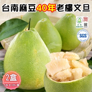 【禾鴻】台南麻豆40年老欉文旦禮盒5斤x2盒(4-6顆/盒_SGS+產地團體標章_中秋送禮)