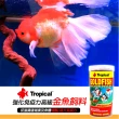 【Tropical 德比克】金魚飼料 1000ml 嗜口性佳/S顆粒小粒(獅頭、藍壽、琉金、土佐金等 60476)