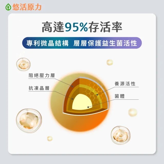 【悠活原力】400億敏立清益生菌x1盒(30包/盒 調整體質/純淨0添加/雙專利菌株/B-聚葡萄糖 )