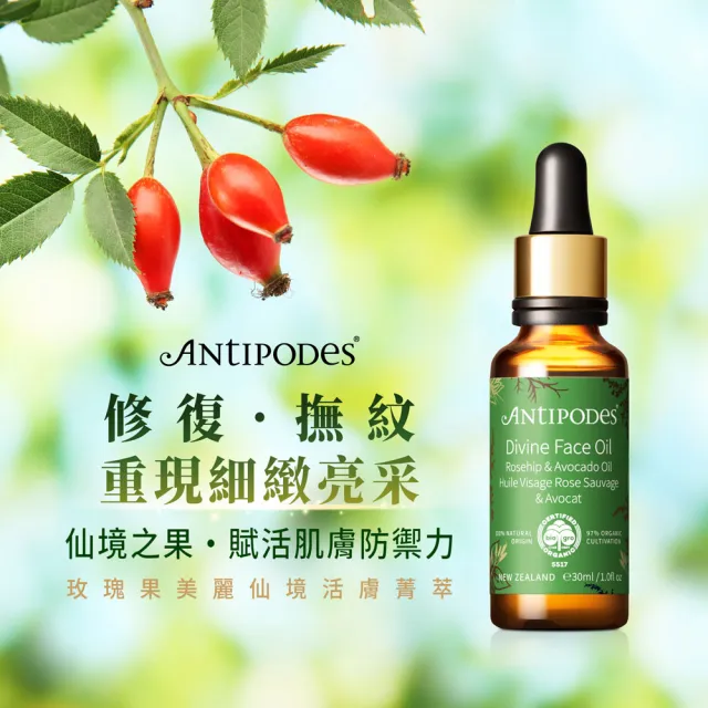 【Jollyard 潔麗雅】安緹芃-玫瑰果美麗仙境活膚菁萃(30ml)
