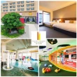【南方莊園渡假飯店】1日遊★單人Buffet+SPA+戶外泡湯+親子館+健身房(贈1名150cm以下兒童)