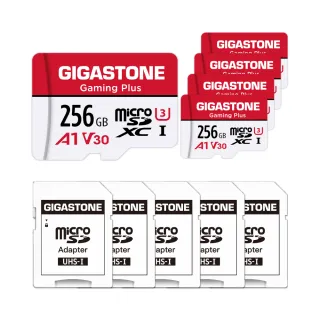 【GIGASTONE 立達】Gaming Plus microSDXC UHS-Ⅰ U3 A1V30 256GB遊戲專用記憶卡-5入組(支援Switch/GoPro)