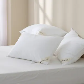 【AnD HOUSE 安庭家居】7星級可水洗飯店枕 買一送一(可水洗/抗靜電/飯店枕/防螨抗菌)