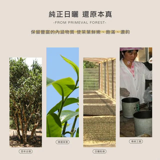 【典慶號】雲南白茶方片/300公克組(普洱茶/古樹/方片/白茶/茶葉)