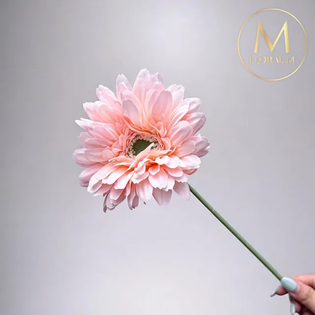 【Floral M】夏日繽紛小太陽非洲菊甜蜜粉仿真花花材（3入組）(人造花/塑膠花/假花/裝飾花)