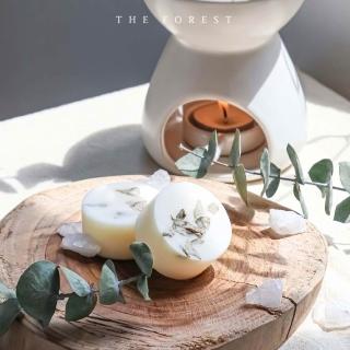 【The Forest 癒森林】海洋之露香氛蠟塊4入組23g*4 海鹽+鼠尾草+葡萄柚(香氛蠟燭/居家香氛/香氛蠟塊)