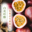 【iVENOR】十時塑孅檸茶x12盒(共120包)