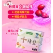 【iVENOR】十時塑花草茶-孅莓口味x12盒(共120包)