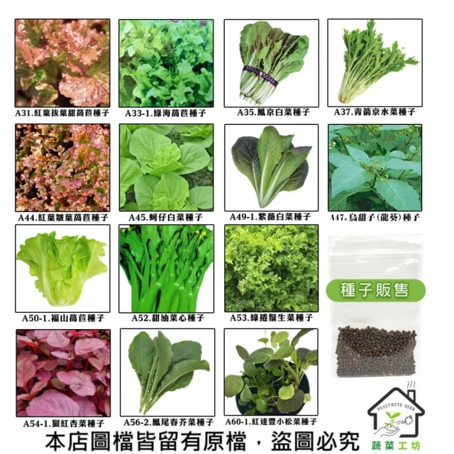 【蔬菜工坊】新手短期收成全年可栽培葉菜類種子系列-各種包裝數