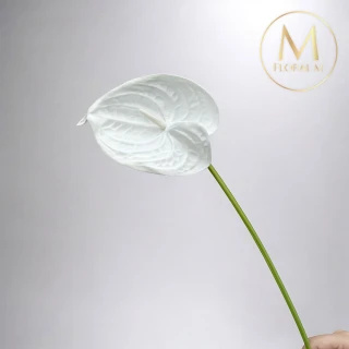 【Floral M】黛安娜心型火鶴優雅白仿真花花材（2入組）(人造花/塑膠花/假花/裝飾花)