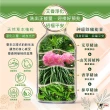 【財神小舖】澡平安 除穢艾草洗髮精500ml(避邪 淨身 淨化 艾草精油)