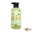 【財神小舖】澡平安 除穢艾草洗髮精500ml(避邪 淨身 淨化 艾草精油)