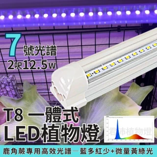 【JIUNPEY 君沛】2入組 7號光譜 T8 2呎 25W 一體式植物燈管(植物生長燈 鹿角蕨適用)