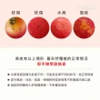 【FruitGo 馥果】紐西蘭Rockit樂淇蘋果小家庭號歡樂分享桶x3桶-箱出(10-12顆約586g/桶)中秋送禮