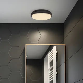 【金亮】20W防水吸頂燈 防潮燈 IP65防護等級 適用1-2坪(防水防蟲防塵、浴室、陽台、樓梯間、室內外可裝)