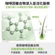 【Plantur 39官方直營】植物與咖啡因洗髮露細軟髮專用500ml(三入組)