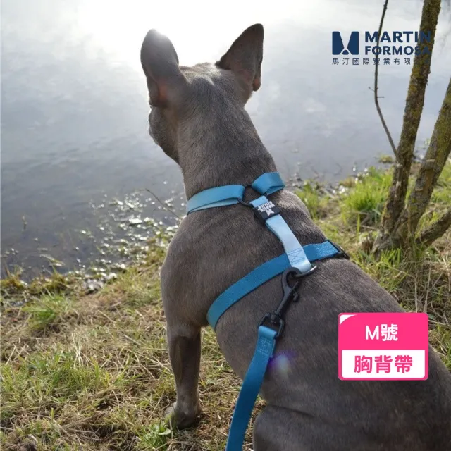 【2026】胸背帶推薦10款高評價胸背帶品牌排行 | 好吃美食的八里人