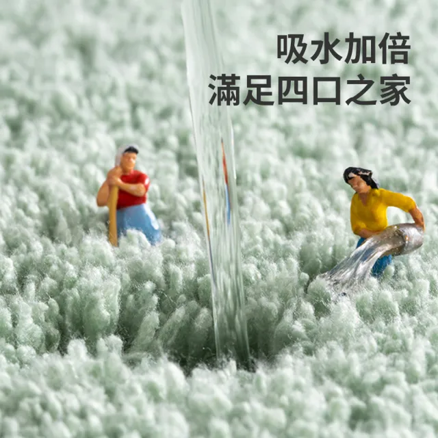 【Shely】浴室加厚毛絨吸水地墊 衛生間加厚地毯 廚房防滑地墊 地毯 40*60cm