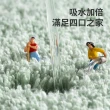 【Shely 買一送一】浴室加厚毛絨吸水地墊 衛生間加厚地毯 廚房防滑地墊 地毯 40*60cm