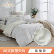 【HOYACASA】MOMO獨家 60支 抗菌天絲兩用被床包任選組-雙/加大均價(涼感/床高35公分)