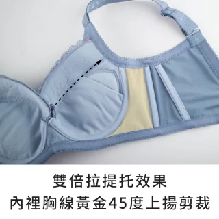 【玉如阿姨】女王守護神內衣※0578藍(大罩杯 集中 提托 包副乳 重機能 調整 台灣製 C.D.E.F.G罩)