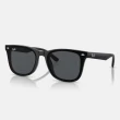 【RayBan 雷朋】2025新品 亞洲版 韓系流行太陽眼鏡組合(RB4391D、RB4392D、RB4423D、RB4458D、RB4461D)