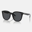 【RayBan 雷朋】2025新品 亞洲版 韓系流行太陽眼鏡組合(RB4391D、RB4392D、RB4423D、RB4458D、RB4461D)