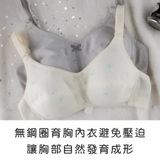 【玉如阿姨】花漾微樂山丘內衣※0664灰(A.B罩 少女 發育 透氣 小胸 護胸 防激凸 服貼 台灣製)