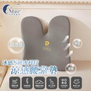 【ISHUR 伊舒爾】冰感S級冰科技涼感腰靠墊(記憶棉/背墊/腰靠枕/靠墊/腰枕/腰靠/靠腰枕/可扣椅背)