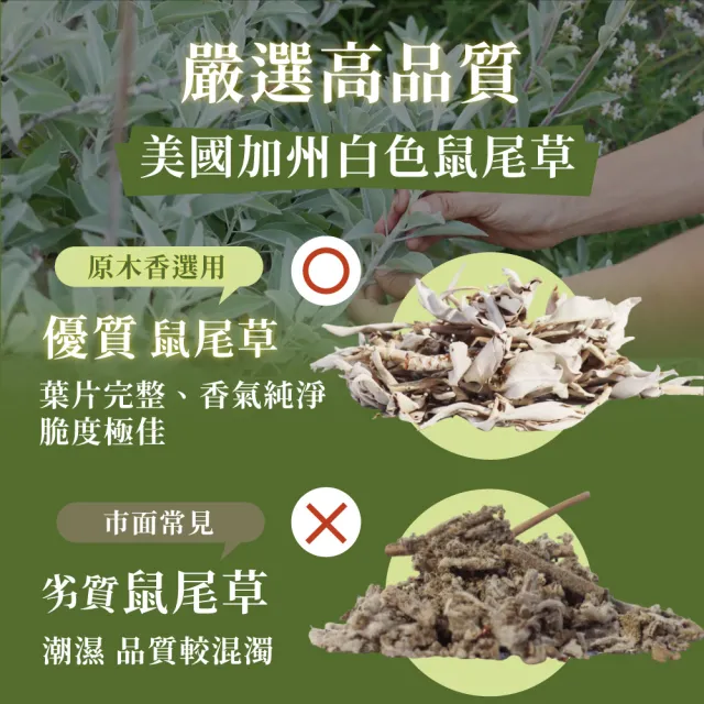 【原木香】白色鼠尾草無黏香 10罐 20克/罐(鼠尾草純粉壓製 香氣超濃縮 適用塔羅 占卜 瑜珈 冥想 淨化)