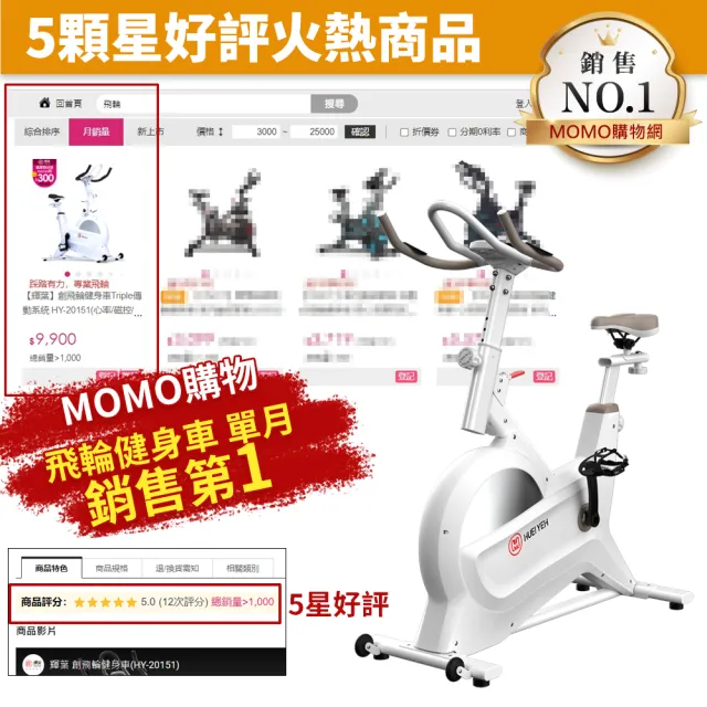 【輝葉】創飛輪健身車+八電極智能體脂計(HY-20151+HYG-P100)(父親節禮物)