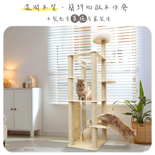 【貓本屋】台灣製 雙太空艙方形實木貓跳台(附劍麻抓板/球)