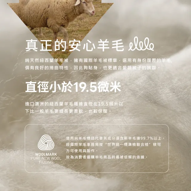 【Beauty Style】100%紐西蘭小羔羊冬被-單人5X7尺(羊毛局推薦 台灣製 冬被 棉被)