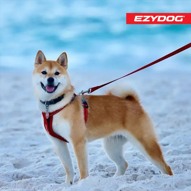 【EZYDOG】狗體工學胸背帶 素色系 M號(送400元寵物車用束帶 寵物胸背帶 H型胸背帶 寵物用品 牽繩)