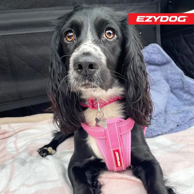 【EZYDOG】狗體工學胸背帶 素色系 L號(送400元寵物車用束帶 寵物胸背帶 H型胸背帶 寵物用品 牽繩)