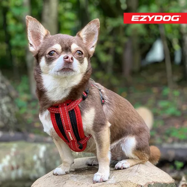 【EZYDOG】狗體工學胸背帶 素色系 XXS號(送400元寵物車用束帶 寵物胸背帶 H型胸背帶 寵物用品 牽繩)
