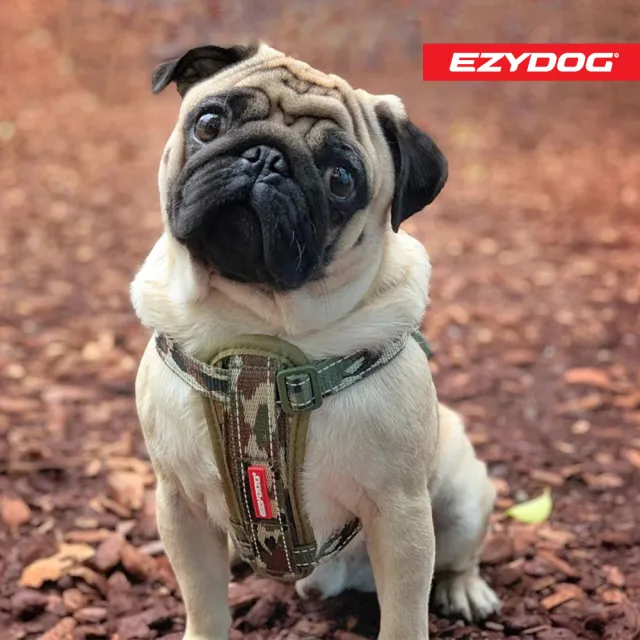 【EZYDOG】狗體工學胸背帶 特殊色 L號(送400元寵物車用束帶 寵物胸背帶 H型胸背帶 寵物用品 牽繩)