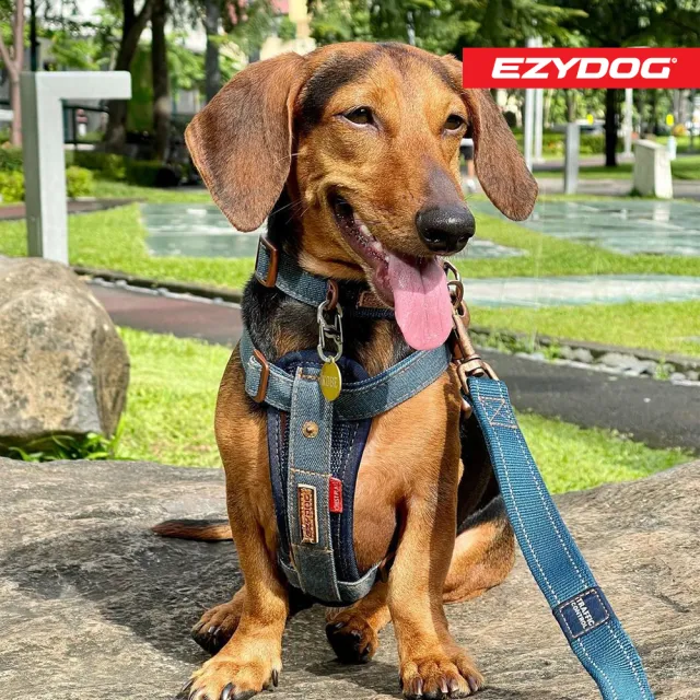 【EZYDOG】狗體工學胸背帶 丹寧 XS號(送400元寵物車用束帶 寵物胸背帶 H型胸背帶 寵物用品 牽繩)