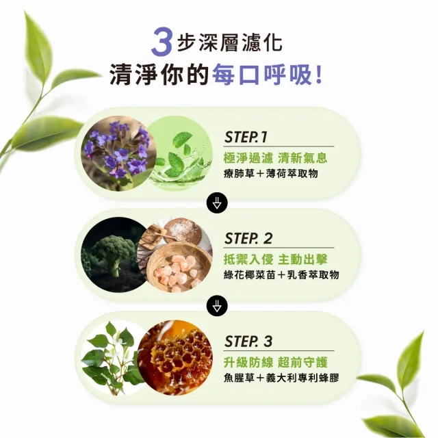 【Wedar 薇達】清潤療肺草 3盒組(30顆/盒.草本調節.義大利蜂膠.魚腥草萃取)