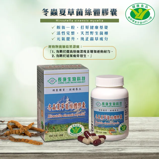 【長庚生技】冬蟲夏草菌絲體膠囊60顆X3瓶優惠組(健字號 冬蟲夏草 保健 養生 活力)
