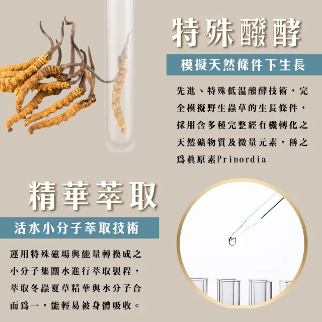 【長庚生技】冬蟲夏草菌絲體膠囊60顆/瓶(健字號 冬蟲夏草 保健 養生 活力)